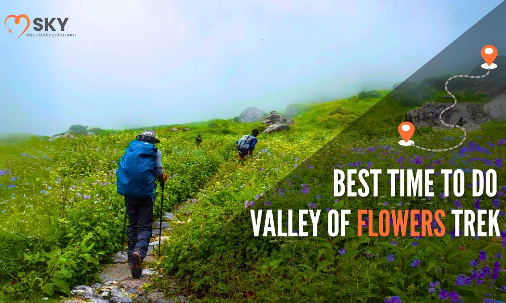 When Is the Best Time to Do the Valley of Flowers Trek?